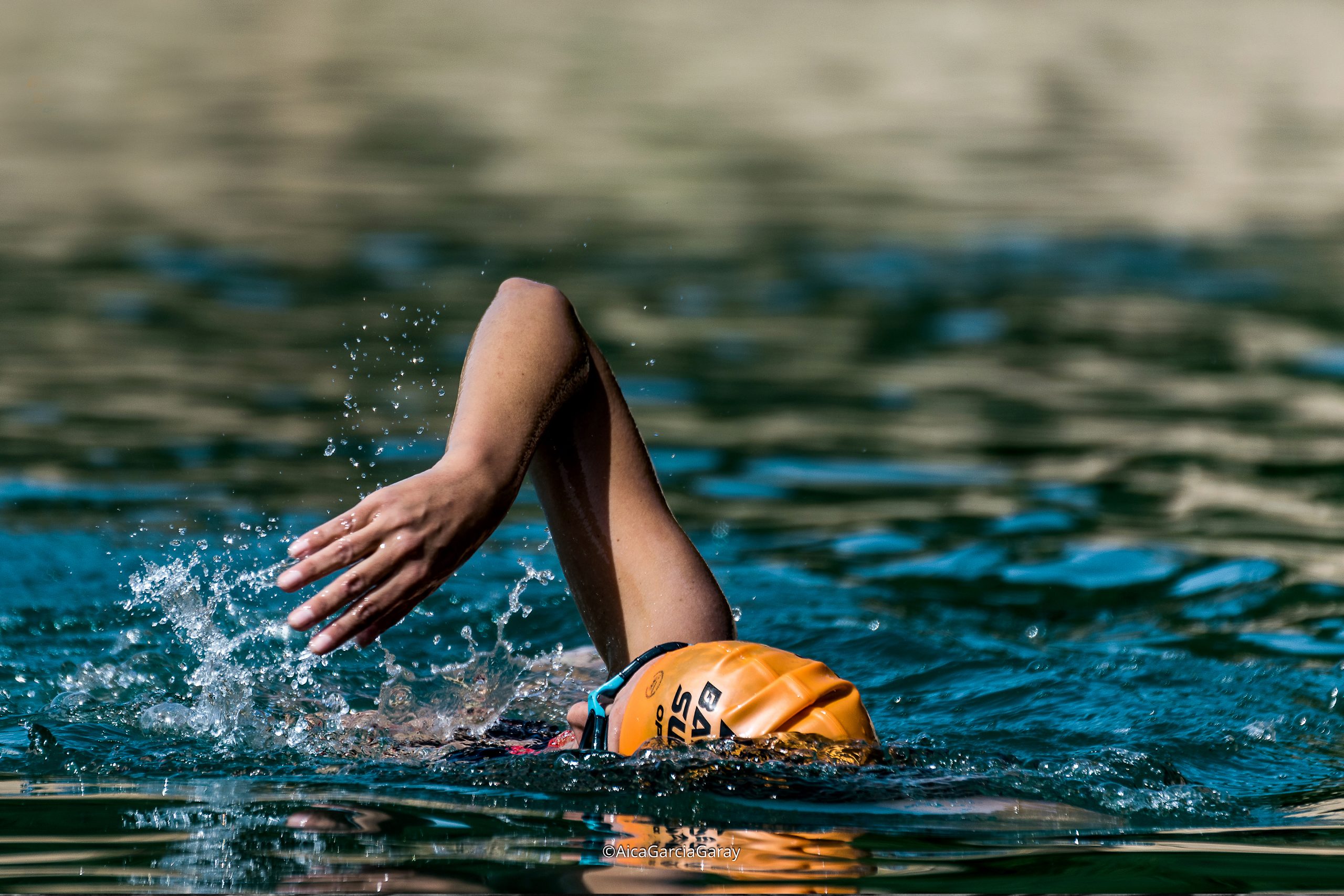 Barcelona swimmers disfrutando de las aguas abiertas todo el año